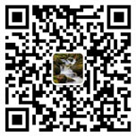長按識別