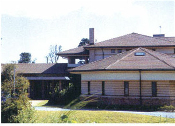 泰式大石板瓦3 泰式大石板瓦3